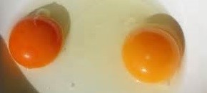egg yolk color