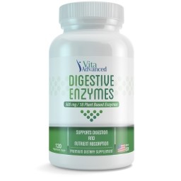 Vita Advanced Digestive Enzymes