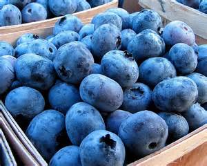 Fresh, Organic Blueberries