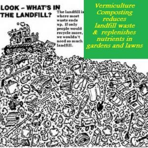 vermiculture composting