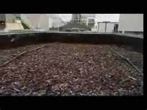 vermiculture composting