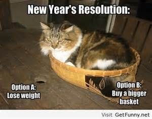 New Year's Resolution cat